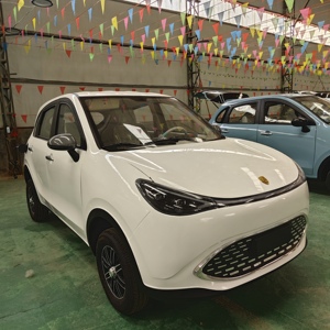 Barato Venta caliente Smart New Energy Adult Cuatro ruedas Mini coche eléctrico pequeño hecho en China E car EV cars - Product Image 4
