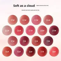Rouge à lèvres crème mat waterproof double usage, poudre à lèvres, gloss et boue à lèvres, personnalisable et sans logo, taille standard