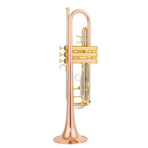 <span class=keywords><strong>Trompette</strong></span> à prix réduit en laiton jaune avec embouchure en cuivre et tube coulissant en nickel argenté, modèle étudiant - Product Image 4
