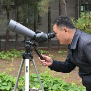 야외 ED-안경 스코프 줌 <span class=keywords><strong>20</strong></span>-60x80 ED-렌즈 2 개의 초점 휠이있는 방수 조류 관찰 스코프 - Product Image 6