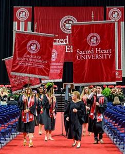 Custom Gonfalons for Graduation Commencement Ceremonies Sublimation Printing Fabric High School Championship Podium <b>Banner</b> - Product Image 5