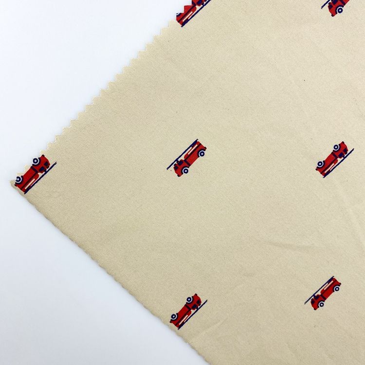 Comme image montrent