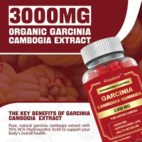 Complément alimentaire végétalien sans sucre à marque privée OEM, extrait de Garcinia Cambogia 2000mg, gommes à mâcher pour le bien-être métabolique et l'énergie