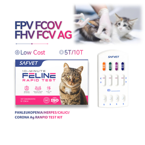Perawatan hewan peliharaan Feline FPV FCV FHV Panleucopenia obat piaraan FPV/FHV/FCV Ag Kit uji - Product Image 3