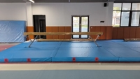 Matelas de gymnastique de haute qualité, bonne élasticité, capacité de soutien, pour barres asymétriques, poutre d'équilibre, sauts en vol.