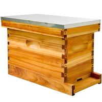 Kit de ruche à abeilles en bois à 5 cadres, boîte à noyaux, revêtement en cire d'abeille, ruche à abeilles profonde (non assemblée)