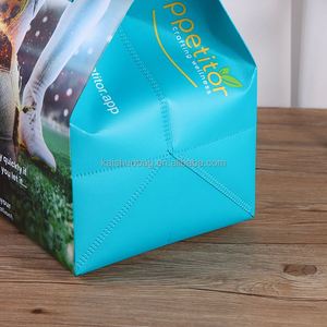Disposable Nonwoven Aluminium Custom Insulated Bag Food Delivery <b>Cooler</b> Bag Custom Thermal Bag - Product Image 5