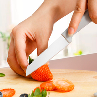 Groothandel Eco-vriendelijk duurzaam kleurrijk handvat roestvrijstalen fruit- en groentekeukenmes met kunststof handvat