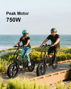 จักรยานไฟฟ้า 48v 15ah สำหรับส่งอาหาร ยางใหญ่ ระบบไฮดรอลิก คลังสินค้า EU รุ่น T5 พับได้ - Product Image 2