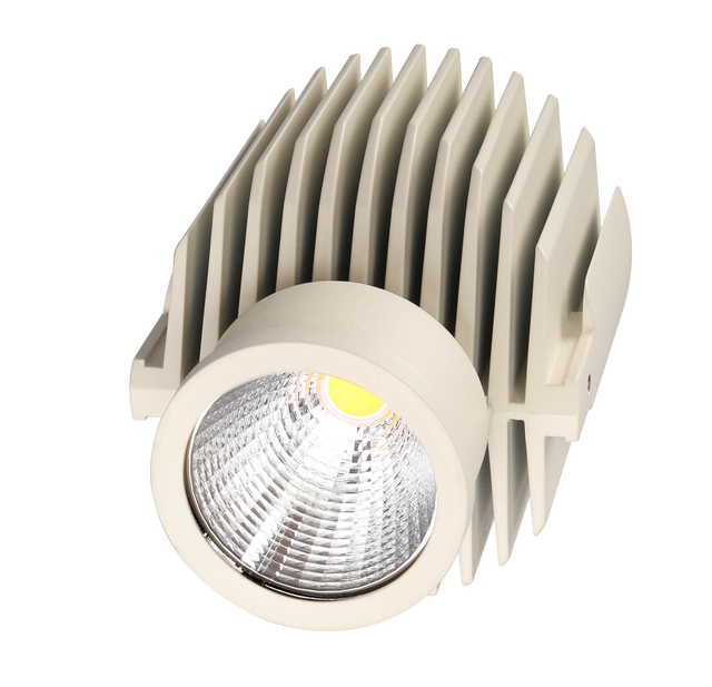 COB LED Downlight  Dimmable 30W Aluminum Spot Light  Black White CE SAA Certified  Indoor Lighting W20