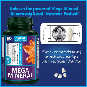 Mineral de calcio, magnesio y zinc de alta calidad de marca privada para adultos, de alta absorción, para la densidad mineral ósea y la función muscular. - Product Image 3