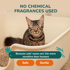 Biodegradable Tofu <b>Cat</b> <b>Litter</b> Beige Cylindrical Flushable for <b>Cats</b> Dissolves in Water Fast Clumping Ability - Product Image 2