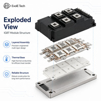 Module IGBT EVOL-EVWGM300B1-1170GDWB6EN 1200V 300A Triphasé à faible VCE(sat) pour variateur de moteur industriel