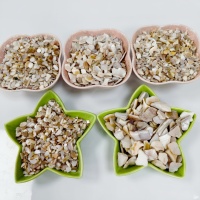 Artisanat ZF fabriqué à partir de fragments de coquilles d'ormeaux broyées, avec une utilisation intensive de morceaux de coquilles d'ormeaux pour la décoration.