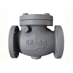 Gietijzeren Marine Swing Check Valve F7372-JIS5K & F7373-JIS10K