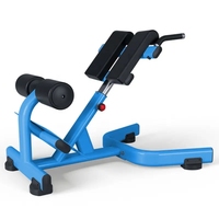 Machine de fitness commerciale VOG, Extension du haut du dos, Hyperextension, chaise romaine réglable