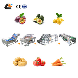 Ligne de production de brosses de lavage pour choux, nettoyeur d'avocats, trieuse d'oignons, laveuse de fruits de la passion et de carottes bébé - Prix usine - Product Image 2