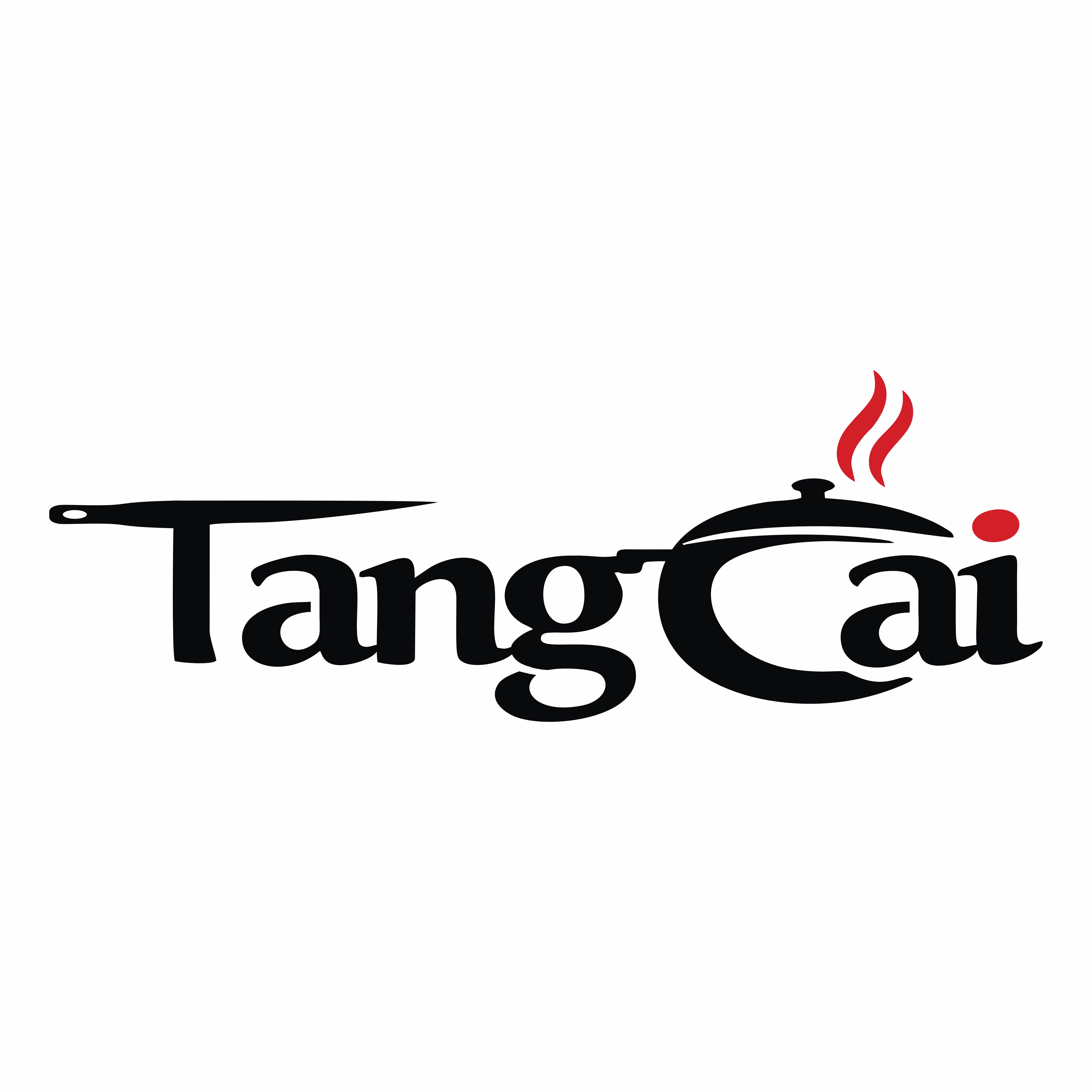 Hebei Tangcai Kitchen Industry Co., Ltd. logo