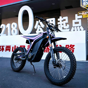 Motocicleta Eléctrica Todoterreno para Adultos LYNX 72V 10kW 410Nm Torque 85km/h Velocidad 120km Autonomía Cuadro de Aluminio Suspensión Hidráulica - Product Image 1