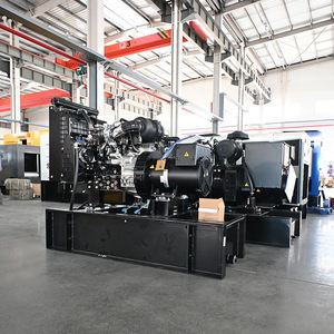 Дизельный генератор 60 Гц, 20 кВА, 20 кВт, бесшумный, открытого типа, с большим топливным баком, для домашнего использования и резервного питания. - Product Image 2