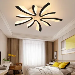 Modern energy saving custom 5v indoor metal acrylic material ceiling light