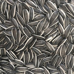 Semi di girasole di tipo 363 di alta qualità da fornitori cinesi prezzo di esportazione competitivo per i semi di <span class=keywords><strong>melone</strong></span> - Product Image 2
