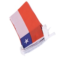 Drapeau en polyester imprimé numériquement, guirlande de drapeaux nationaux pour événements sportifs, décoration de festivals