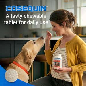 Livraison gratuite Nutramax <span class=keywords><strong>Cosequin</strong></span> pour chiens, complément alimentaire pour la santé des articulations, contient de la glucosamine, comprimés à mâcher, 60 unités, fabriqué en Chine - Product Image 5