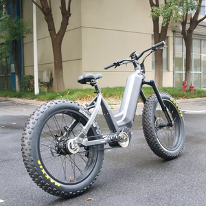 دراجة كهربائية جديدة بمحرك Bafang M630 بجهد 48 فولت 30 أمبير 26 بوصة دراجة كهربائية بمحرك أوتوماتيكي بسرعات 5 G500A RG A510.D محور 48 فولت 30 أمبير - Product Image 2