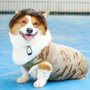 Ensemble gilet et chapeau de camouflage pour animaux de compagnie, vêtements d'extérieur à séchage rapide pour Corgi, bouledogue français, petits chiens, printemps, été, automne - Product Image 2