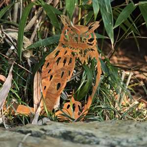 Ornements de jardin en plastique : écureuil, lion <span class=keywords><strong>rose</strong></span> de Noël, cheval de montagne rouillé, coccinelle, lutin, hibou, <span class=keywords><strong>flamant</strong></span> <span class=keywords><strong>rose</strong></span> <span class=keywords><strong>rose</strong></span> - Product Image 4