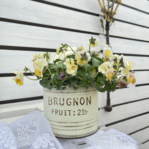 Pot de fleurs en fer forgé de style rétro <span class=keywords><strong>japonais</strong></span> en forme de baril pour plantes succulentes, <span class=keywords><strong>petit</strong></span> pot de fleurs pour <span class=keywords><strong>jardin</strong></span>, villa, balcon, décoration, vente en gros - Product Image 2