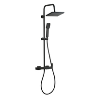 Colonne de douche noire en laiton mécanique chromé ABS SUS201 de style moderne pour la vente en gros