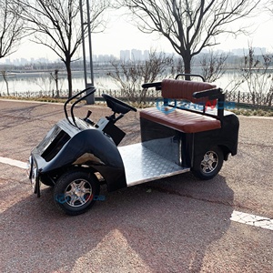 Voitures électriques rétro classiques homologuées pour la route, idéales pour les circuits touristiques en zone panoramique, à vendre - Product Image 1