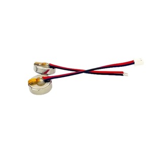 Motor <span class=keywords><strong>de</strong></span> vibración <span class=keywords><strong>de</strong></span> CC con escobillas Waillynice 1030 <span class=keywords><strong>de</strong></span> entrada lateral para masajeadores <span class=keywords><strong>de</strong></span> belleza, ¡gran oferta <span class=keywords><strong>de</strong></span> fábrica! - Product Image 1