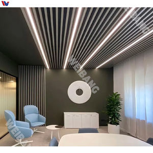 Panneaux de plafond en aluminium personnalisés en forme de U, décoration en métal, design moderne pour l'intérieur, design mural extérieur pour bâtiments, plus de 5 ans - Product Image 4