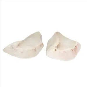 Frozen SwordFish Belly With For Fresh Seafood From Ivory Coast 24 Months Shelf Life