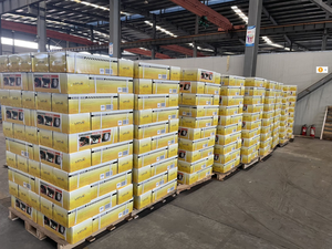 Gato de carro hidráulico portátil de 2 toneladas de perfil bajo, Gato de piso, Gato de coche - Product Image 6