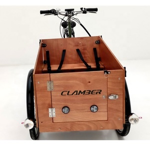 NOUVEAU STYLE <span class=keywords><strong>Vélo</strong></span> <span class=keywords><strong>cargo</strong></span> à <span class=keywords><strong>assistance</strong></span> <span class=keywords><strong>électrique</strong></span> à 3 roues <span class=keywords><strong>avec</strong></span> support pour adulte e-trike - Product Image 4