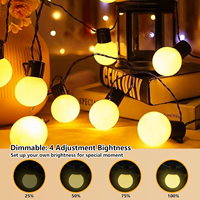 Guirlande lumineuse à LED en forme de boules de verre, alimentée par piles, lumières de Noël, pour chambre à coucher, camping, arbre de Noël, éclairage festif, lumières décoratives