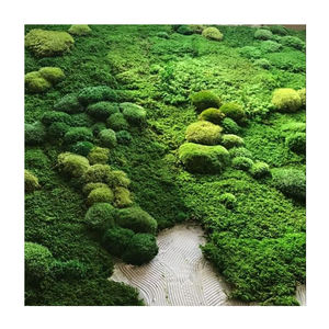 Tapis en mousse artificielle cadre mural de salon art mural de bureau plante taille personnalisée art de mousse pour la décoration intérieure de jardin à la maison - Product Image 1