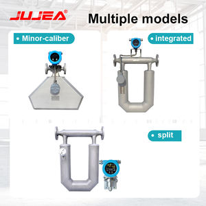 Hoge Precisie <span class=keywords><strong>Coriolis</strong></span> Massa Flow <span class=keywords><strong>Meter</strong></span> Lage Kosten Digitale Dn 25 Voor Lpg Gas Water Vloeibare Olie Met Oem Maatwerk 0.2% Nauwkeurigheid - Product Image 6