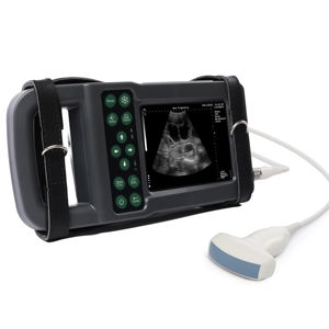 HF-5600L Convexe Sonde Handheld Veterinaire Echografie Machine Waterdichte Honden Runderen Varkenshond Kattenscanner Voor Huisdierdiagnose - Product Image 1