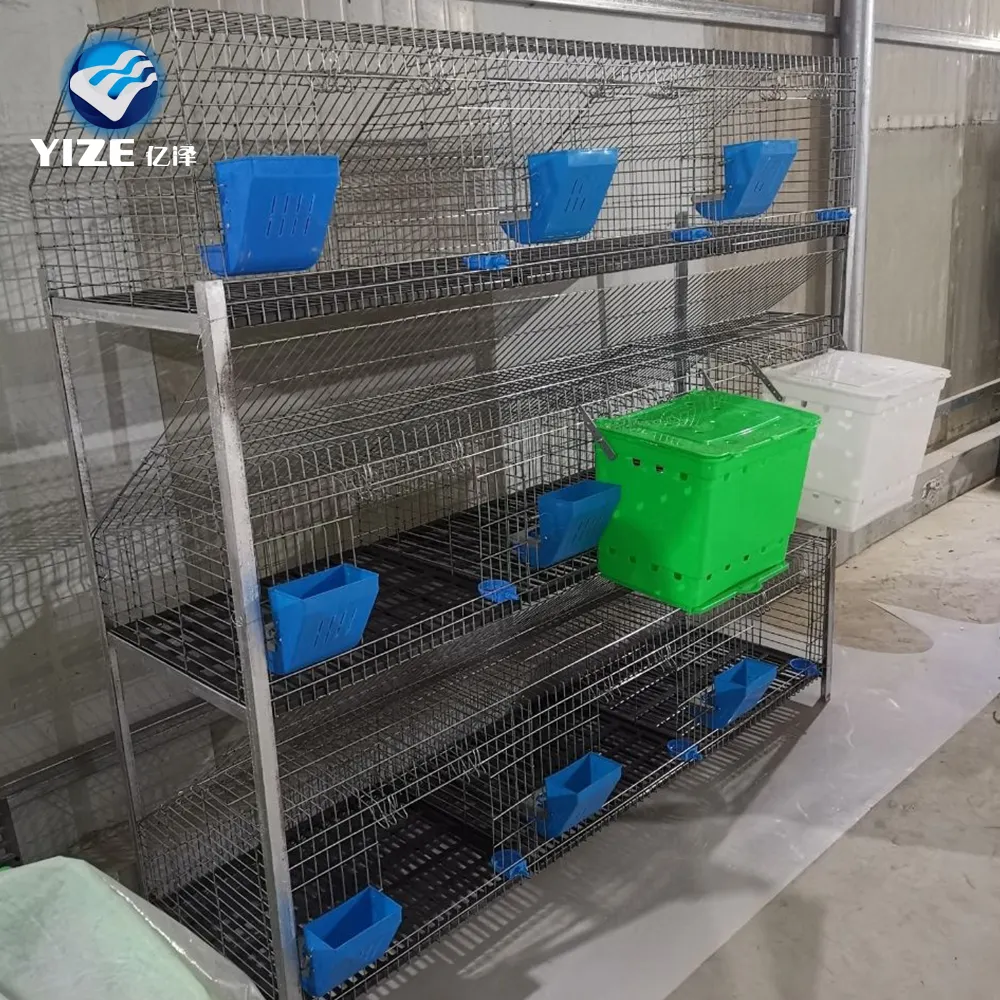 Cage commerciale pour lapins, en acier à faible teneur en carbone, 240 pièces, plateau de cabine pour batterie, livraison gratuite