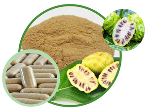 מפעל אספקת בתפזורת/oem משקה אבקת פירות <span class=keywords><strong>noni</strong></span> 99 איכות גבוהה אבקת פירות <span class=keywords><strong>noni</strong></span> מכירה - Product Image 5