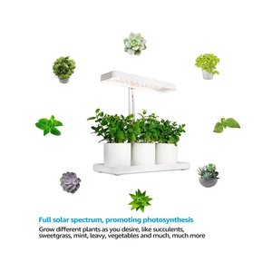 Lampe de culture LED intelligente compacte 20W pour jardin hydroponique d'intérieur de bureau avec basilic et laitue - Product Image 1