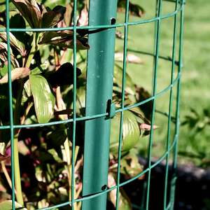 <span class=keywords><strong>Malla</strong></span> de Alambre <span class=keywords><strong>Galvanizada</strong></span> <span class=keywords><strong>Ondulada</strong></span> de 40 mm para Cercas de Aves de Corral, Rollo de <span class=keywords><strong>Malla</strong></span> Metálica de Acero Recubierto de PVC de Alta Calidad - Product Image 5