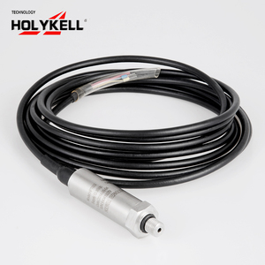 Holykell <span class=keywords><strong>Hpt603</strong></span> Tàu Lưu Trữ Tank Chủ Đề Kết Nối Chìm Áp Lực Nước Độ Sâu Mức Độ Đầu Dò Cảm Biến - Product Image 5