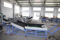Citrus Sinaasappel-En Appelverwerkingsmachine Voor Het Wassen Van Groenten Fruitmachine