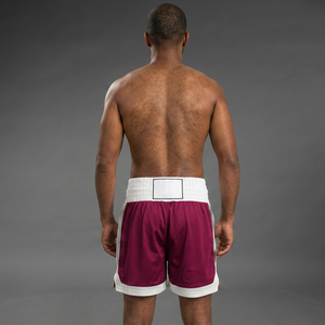 Shorts de boxe haut de gamme avec un matériau durable et un design moderne pour les séances d'entraînement et les combats - Product Image 3